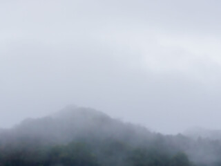 霧の掛かる山の樹々01