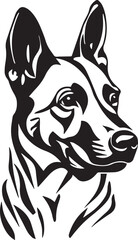 vector illustration of a belgian malinois dog