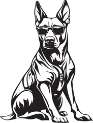 cool belgian malinois with sunglasses