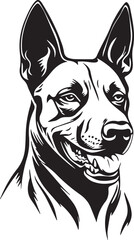 funny belgian malinois dog