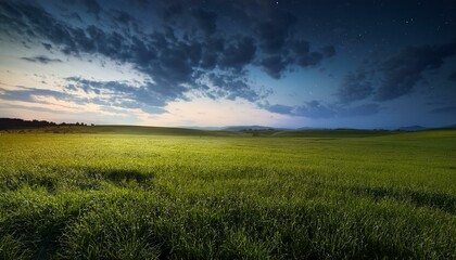 【背景素材】美しい緑の草原と夜の風景