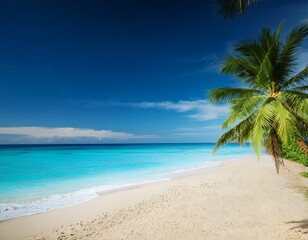 Obraz premium a beach with palm trees and a blue ocean