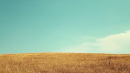 Obraz premium Serene Landscape of Golden Grass Under Blue Sky and White Clouds in a Rural Setting with Natural Beauty and Tranquil Ambiance Captured on a Sunny Day