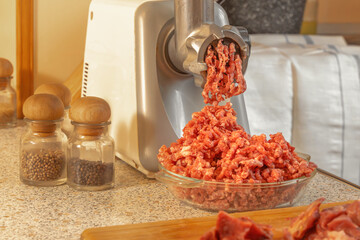 Minced meat comes out of the meat grinder and falls into a glass plate. Cooking