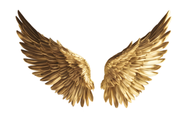 A pair of golden wings symbolizing divine guidance and ascension, isolated on a empty plain background