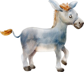 watercolor donkey