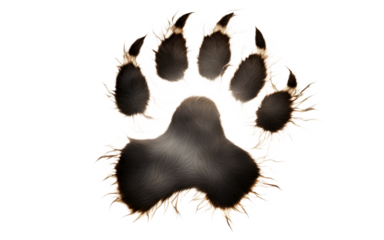A wolf’s paw print representing instinct and strength, isolated on a empty plain background
