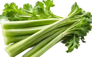 Fototapeta premium A bunch of celery stalks with leafy tops, isolated on a empty plain background