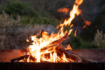 Charcoal and firewood burn in barbecue grill, preparation for cooking meat kebab