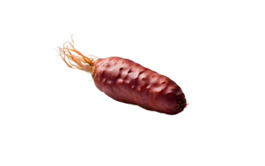 A single tuber of oca with a reddish skin, isolated on a empty plain background