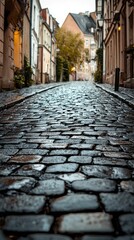 Fototapeta premium Cobblestone street glistening after rainfall in historic urban neighborhood at evening light