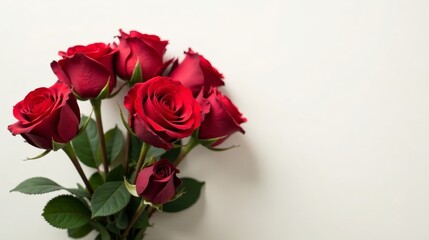 A captivating bouquet of deep red roses, elegantly arranged against a minimalist white backdrop, showcasing the exquisite beauty of nature's vibrant blooms.
