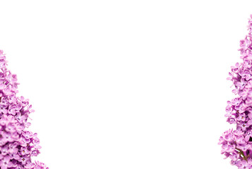 Frame of lilac flowers on a purple background. Holiday concept. Top view, flat lay, copy space