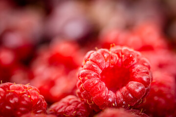 Ripe, juicy raspberries of vibrant, deep red color, with a glossy, almost translucent appearance on...