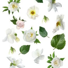 Beautiful flowers and green leaves falling on white background
