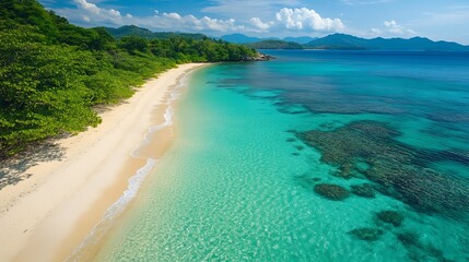 Obraz premium Paradise beach with water and trees