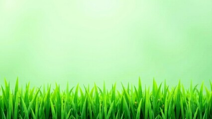 Vibrant Green Grass Blades Against a Soft, Light Green Background, Perfect for Spring or Summer Themes and Nature-Inspired Designs
