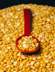 Yellow chana dal and Organic Bengal Gram (Cicer arietinum) with a red spoon.
