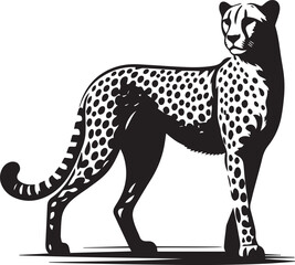 Fototapeta premium vector illustration of a cheetah, cheetah silhouette vector, cheetah logo, cheetah silhouette vector black and white full body