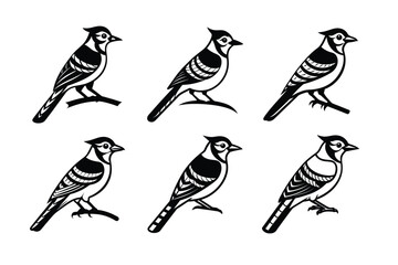 A set of Blue Jay bird vector silhouette illustration