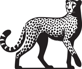 Fototapeta premium vector illustration of a cheetah, cheetah silhouette vector, cheetah logo, cheetah silhouette vector black and white full body