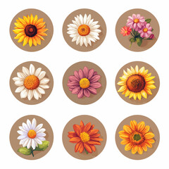 Floral Variety: Sunflowers, Daisies, and Chrysanthemums in Circular Design
