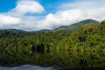 The serene reflection of the forest in the reservoir creates a mesmerizing and tranquil scene.