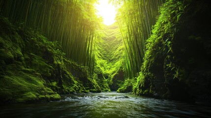 Fototapeta premium Lush bamboo forest with sunlight filtering through, reflecting on a serene river below