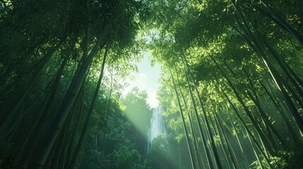 Fototapeta premium Lush bamboo forest with sunlight streaming through trees and a distant waterfall in background