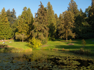 Washington Park lake and trees in the Autumn in Seattle, USA.