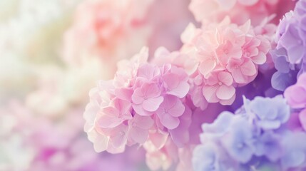 Fototapeta premium Soft pastel gradient with light pink and purple hues, blending gently, creating a dreamy and calming aesthetic