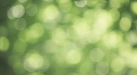 Soft green bokeh background with blurred lights creating a serene atmosphere