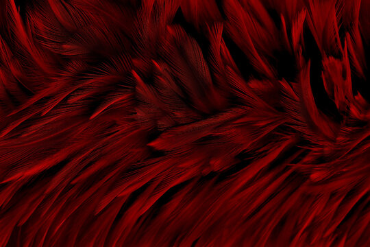 Beautiful dark red bird feathers pattern texture background.