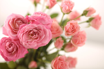 Beautiful bunch of fresh pink roses in full bloom against white background. Bouquet of flowers. Copy space for text. Valentine's day or Mother's day card.