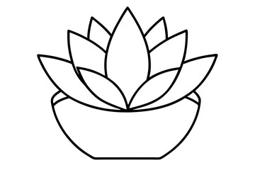 Succulent Plant Line Art – Minimal Vector Illustration for Modern Decor & Design

