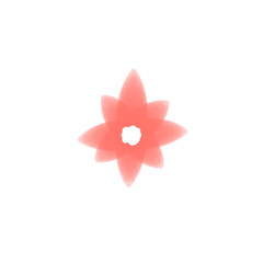 pink flower isolated on white background