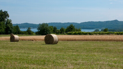Balle di Fieno