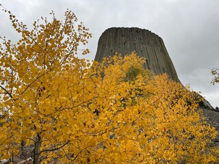 デビルズタワー