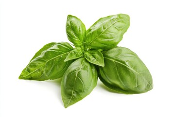 Fototapeta premium Professional stock photo of vibrant pesto sauce on a clean white background with sharp details and realistic lighting
