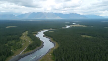 Vast Alaskan Landscape: River Flowing Through Dense Forest with Mountain Backdrop