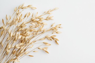 Beautiful arrangement of oats isolated on a clean white surface with natural lighting