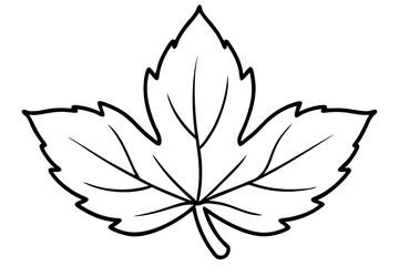 Autumn Leaves Line Art Illustration – Minimal Fall Foliage Design

