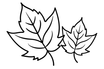 Autumn Leaves Line Art Illustration – Minimal Fall Foliage Design

