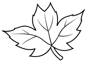 Autumn Leaves Line Art Illustration – Minimal Fall Foliage Design

