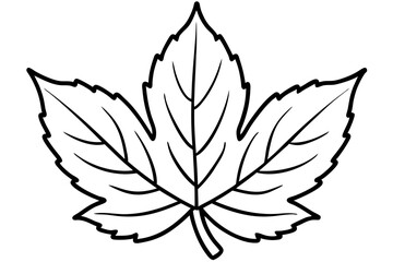 Autumn Leaves Line Art Illustration – Minimal Fall Foliage Design

