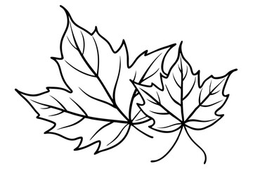 Autumn Leaves Line Art Illustration – Minimal Fall Foliage Design

