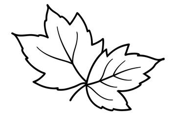 Autumn Leaves Line Art Illustration – Minimal Fall Foliage Design

