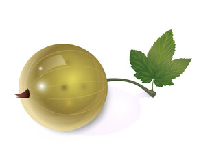 Beautiful translucent white currant on a white background with a leaf