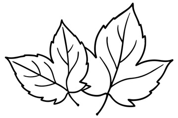 Autumn Leaves Line Art Illustration – Minimal Fall Foliage Design


