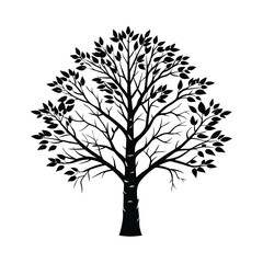 Obraz premium Vector tree silhouette on white background